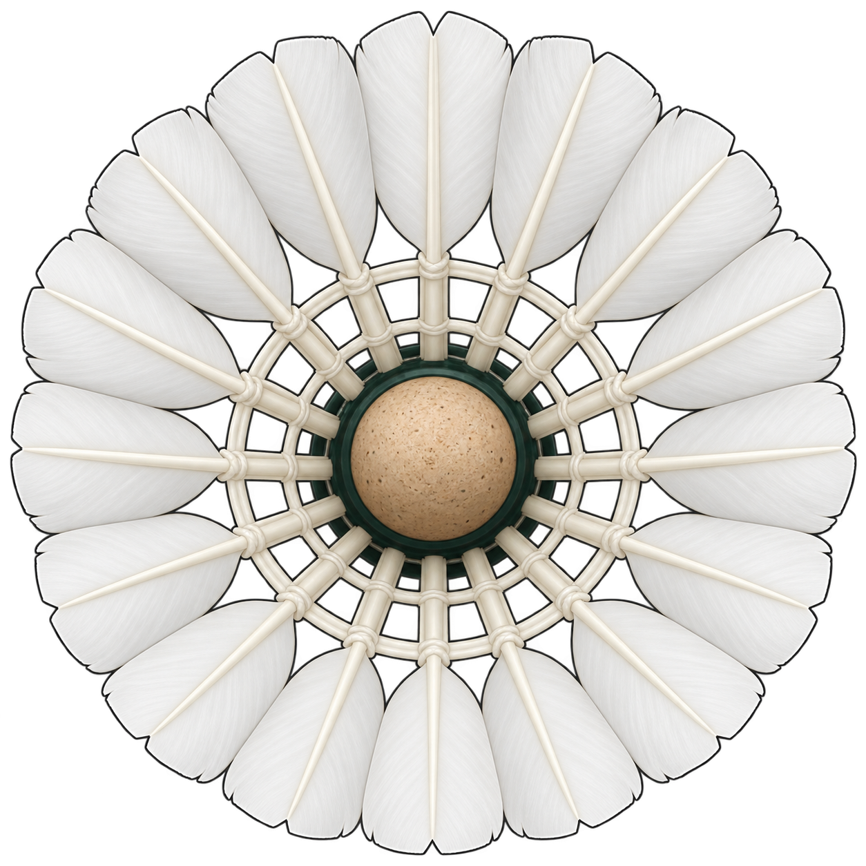 Shuttlecock